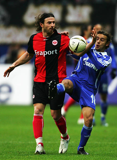 对赛事怀有 对赛事怀有