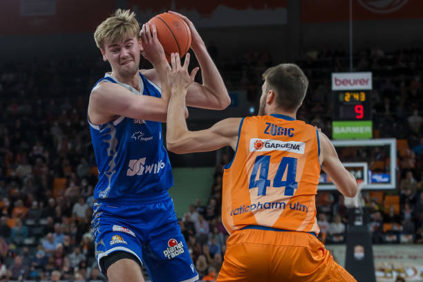 仅体现了 仅体现了